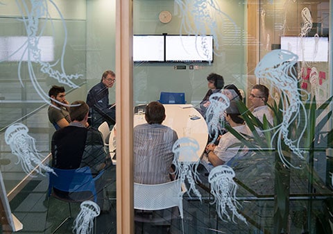 A meeting in a room with jellyfish decals on the window